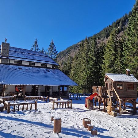 Cabana Conacul Ursului Cumpăna Kültér fotó